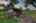 Blurred preview of media: 723CountyRd242-44