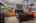 Blurred preview of media: Firebrand Dr-69