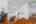 Blurred preview of media: 706 S Bay (54)
