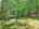 Blurred preview of media: DJI_20260608135514_0482_D_3_D_4_D_easyHDR