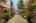 Blurred preview of media: 1-31
