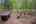 Blurred preview of media: PAX_1910