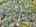 Blurred preview of media: DJI_20260505134458_0856_D_7_D_8_D_easyHDR