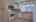 Blurred preview of media: 7