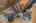 Blurred preview of media: 26 Richardson Avenue 26 A Wakefield Massachusetts Job 39127 0029