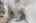 Blurred preview of media: 121 Millbury Avenue Millbury Massachusetts Job 39336 0063