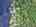 Blurred preview of media: DJI_20250616144216_0816_D_7_D_8_D_easyHDR