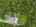 Blurred preview of media: DJI_20250905120123_0004_D