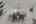 Blurred preview of media: DSC07209