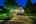 Blurred preview of media: 4Sept0012
