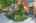Blurred preview of media: 495 S Dayton St #10A 00002