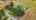Blurred preview of media: 20141-8
