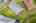 Blurred preview of media: iPixx_10_13