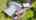Blurred preview of media: DJI_0001