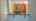 Blurred preview of media: 141Poinsettia-14
