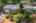 Blurred preview of media: Aerial 01