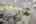 Blurred preview of media: 1440-east-19stt-009