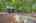 Blurred preview of media: 2-726-0635