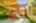 Blurred preview of media: 64 Ravina Cres, Ancaster _ Nathan Ferro144