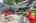 Blurred preview of media: IMG_9279 copy 2