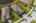 Blurred preview of media: iPixx_10_18