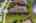 Blurred preview of media: iPixx_10_13