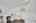 Blurred preview of media: DSC05832
