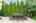 Blurred preview of media: 25 Partridge Avenue Somerville Massachusetts Job 40170 0010