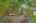 Blurred preview of media: 260204-21a