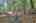 Blurred preview of media: IMG_4745_6_7_easyHDR