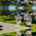 Blurred preview of media: 09