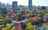 Blurred preview of media: 1.2