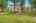 Blurred preview of media: bristow_106