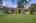 Blurred preview of media: 3303 Fallen Leaf-104