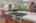Blurred preview of media: 43