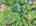 Blurred preview of media: DJI_20260527103734_0038_D_39_D_40_D_easyHDR