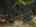 Blurred preview of media: The Metropolitan 29