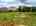 Blurred preview of media: DJI_20250807151031_0807_D