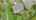 Blurred preview of media: DJI_20261001114152_0801_D_autoremove_65004904