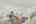 Blurred preview of media: 1600 DYLAN ST web-10
