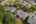 Blurred preview of media: 1-52