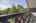 Blurred preview of media: IMG_6194