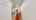 Blurred preview of media: 2-Daffodil-Drive-04112025_180942