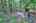 Blurred preview of media: IMG_1675_6_7_easyHDR