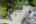 Blurred preview of media: 707 Whistler Dr_MLS (055 of 057)