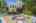 Blurred preview of media: Nerine_032