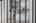 Blurred preview of media: DSC_6896