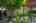 Blurred preview of media: Hamilton-41
