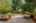 Blurred preview of media: 1-46