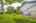 Blurred preview of media: IMG_12x81